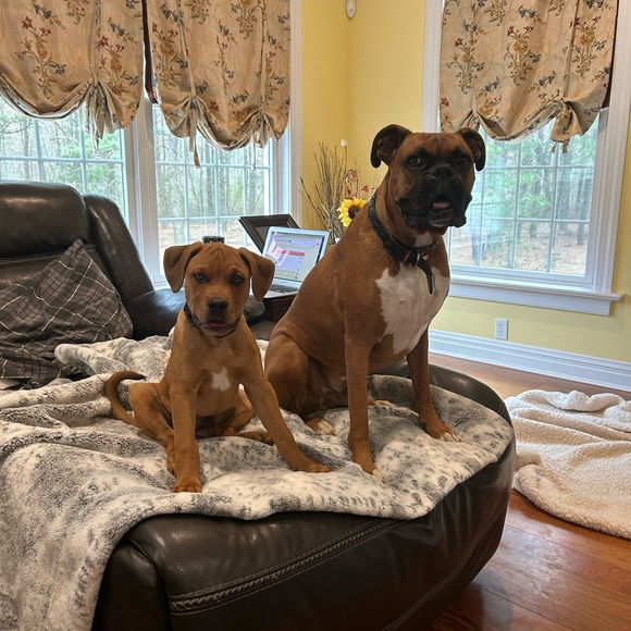 Share for Share Max 30 Please Comment When Done I will share back - Picture 13 of 13